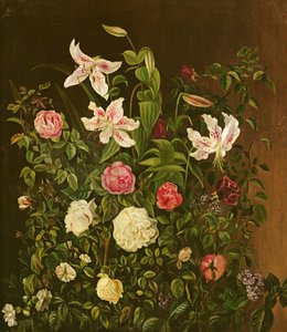 夏の花